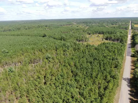 40 Ac Browndeer Dr E Acres, Arkdale, WI 54613
