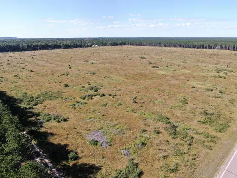 40 Ac Akron Dr Acres, Nekoosa, WI 54457