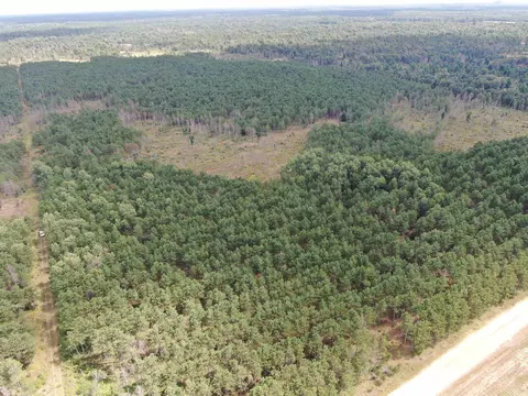 40 Ac 16th Ave Acres, Arkdale, WI 54613