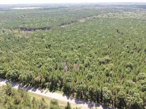 40 Ac Browndeer Ave E Acres, Arkdale, WI 54613