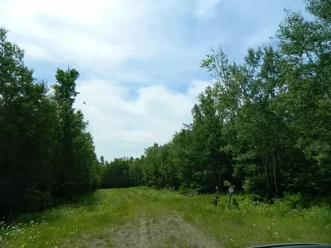 L10-l13 Northern Shores Way, Winter, WI 54896