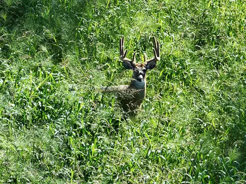 000 Highway Tb Acres, Richland Center, WI 53581
