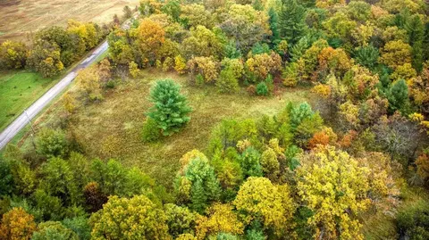 40 Acres Edgewood Dr, Adams, WI 53910