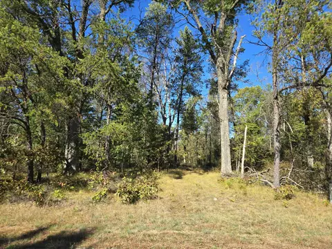 3 35 Acres Brown Deer Ave, Arkdale, WI 54613