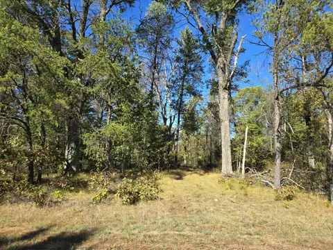 3 35 Acres Brown Deer Ave, Arkdale, WI 54613