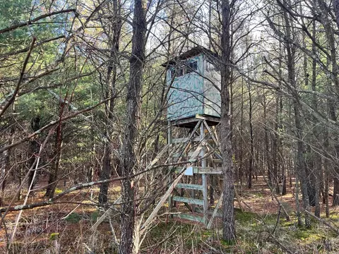 1035 Beaver Ave, Nekoosa, WI 54457