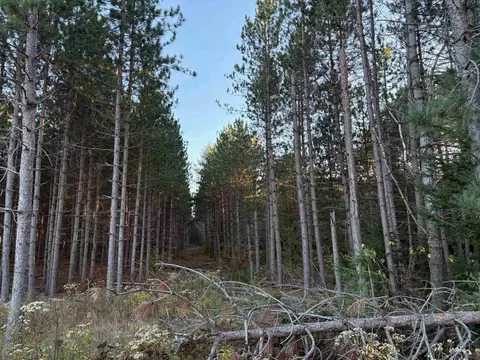 lot2 Plantation Rd, Pelican Lake, WI 54463