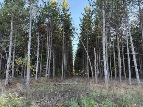 lot3 Plantation Rd, Pelican Lake, WI 54463