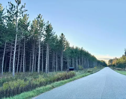 lot4 Plantation Rd, Pelican Lake, WI 54463