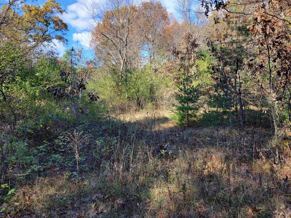  w1782 Fawn Court, Montello, WI 53949 photo 3