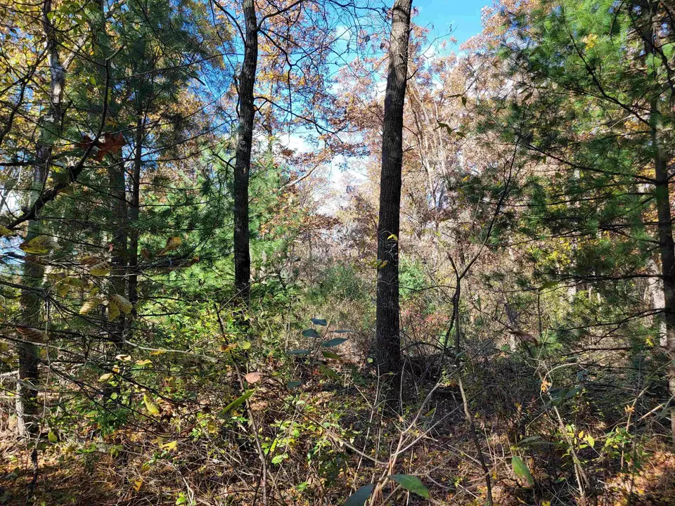  w1782 Fawn Court, Montello, WI 53949 photo 9