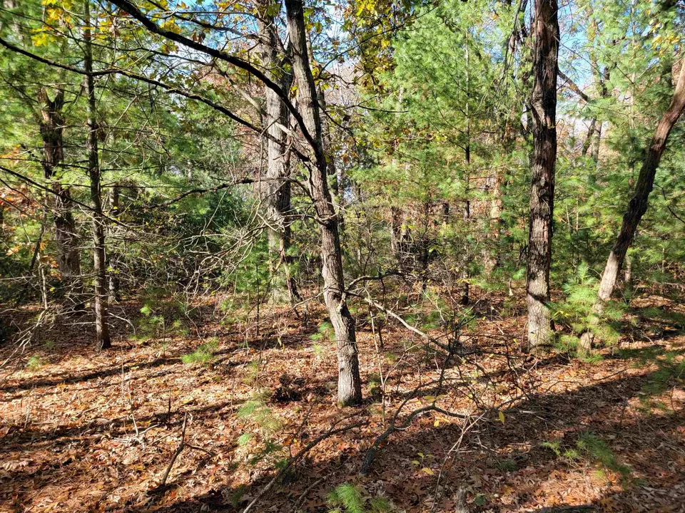  w1782 Fawn Court, Montello, WI 53949 photo 11