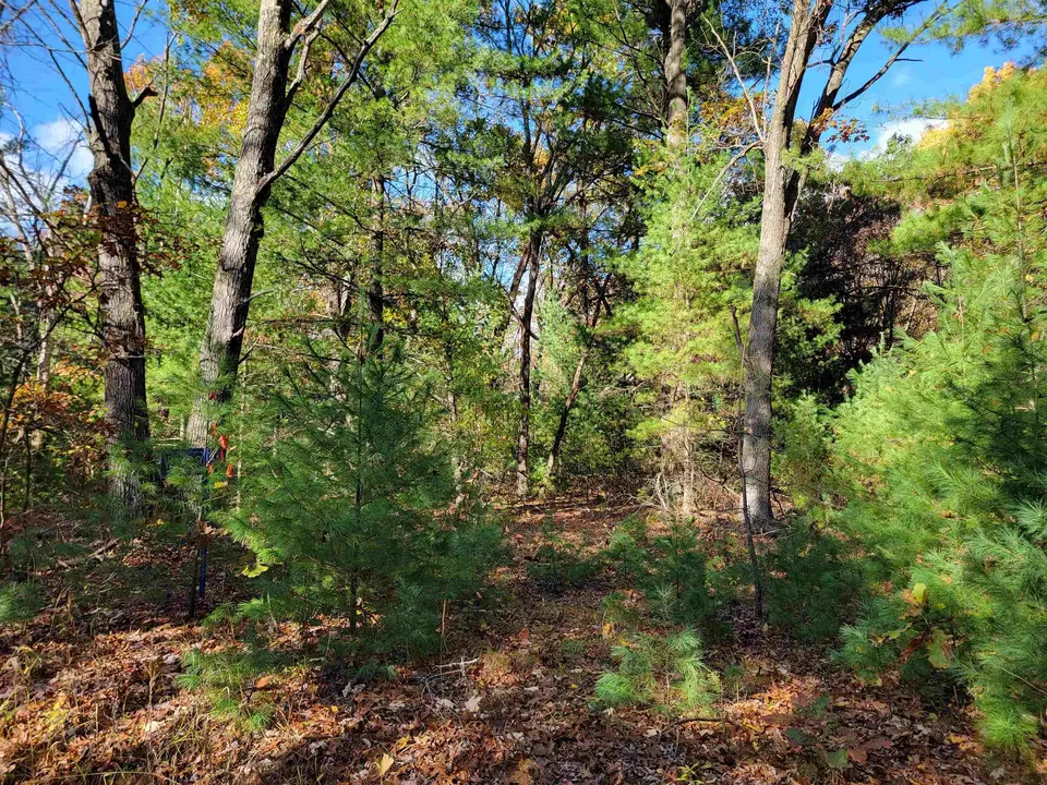  w1782 Fawn Court, Montello, WI 53949 photo 12