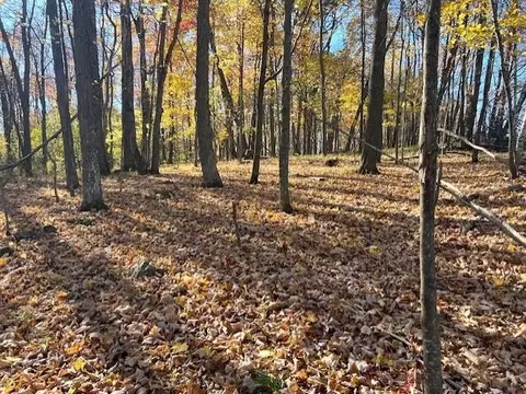 32 18 Acres Monarch Ave, Kendall, WI 54638
