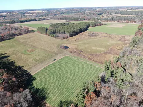 10061 Flume Rd, Rosholt, WI 54473