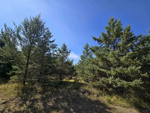 6 06 Acres 20th Ave, Necedah, WI 54646