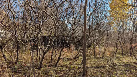 L17 Oak Road, Markesan, WI 53946