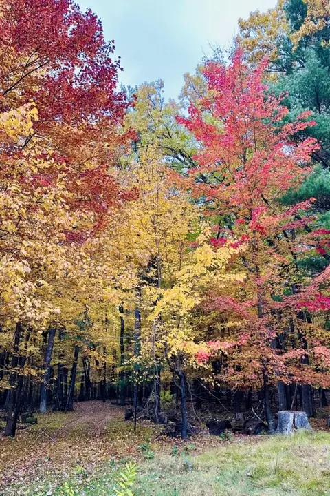lot33 S Badger Ln, Arkdale, WI 54613