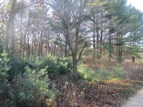 lot2 Eagle Rest Ct, Montello, WI 53949