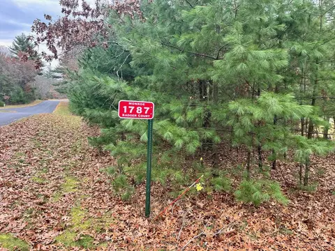 1787 Badger Ct, Arkdale, WI 54613