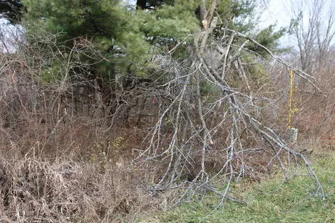 lot40 Dutch Hollow Dr, La Valle, WI 53941