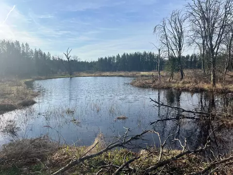 1193 Beaver Ave, Nekoosa, WI 54457