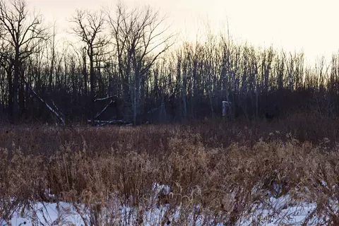 tbd County Rd Jj, Appleton, WI 54913 photo 40