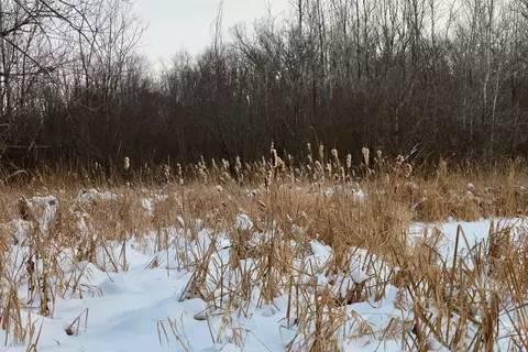 tbd County Rd Jj, Appleton, WI 54913 photo 20