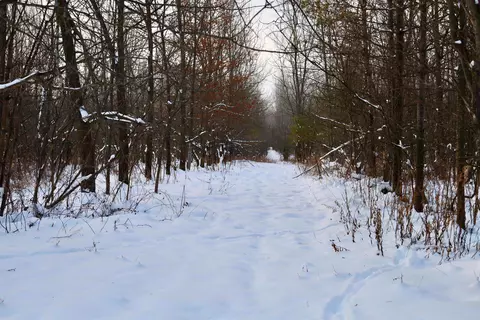 tbd County Rd Jj, Appleton, WI 54913 photo 30