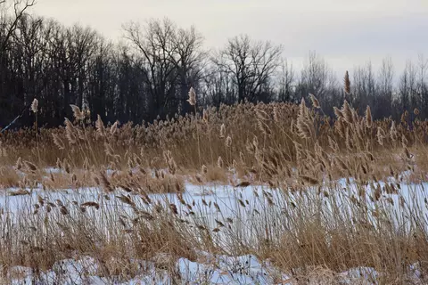 tbd County Rd Jj, Appleton, WI 54913 photo 37