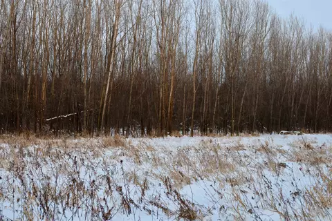 tbd County Rd Jj, Appleton, WI 54913 photo 22