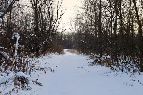tbd County Rd Jj, Appleton, WI 54913 photo 28
