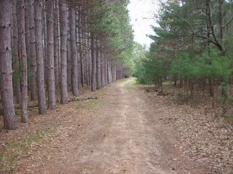lot2 Meiller Rd, Montello, WI 53949