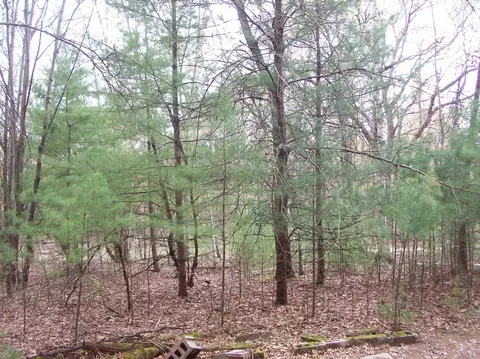 lot3 Meiller Rd, Montello, WI 53949