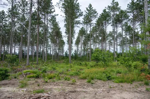 lot6 Bollig Ct, Nekoosa, WI 54457