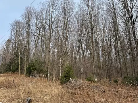 Parcel A Private Road, Mercer, WI 54547