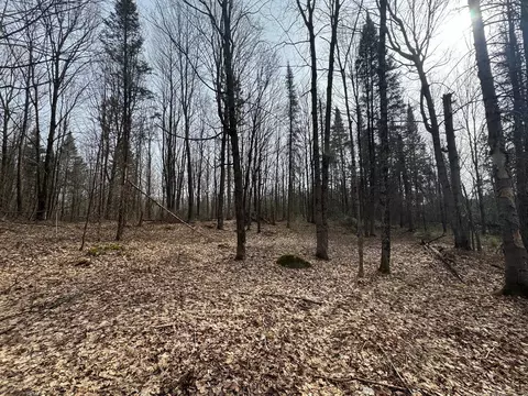 Parcel B Private Road, Mercer, WI 54547