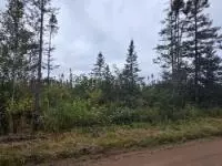 5 Ac Wilson School Rd, Wilson, WI 54487