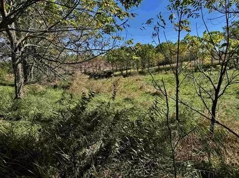 41 80 Acres County Road O, Mineral Point, WI 53565