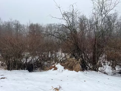 18 Ac Chicago Ave, Coloma, WI 54930
