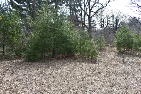 9464 Hollywood Rd, Nekoosa, WI 54457