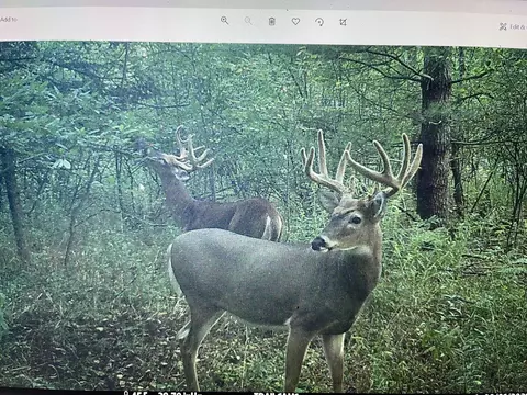 4400 N Deer Ln, Mosinee, WI 54455