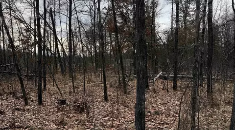1 50 Acres Retirement Ln, Necedah, WI 54646