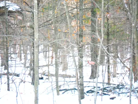 1 34 Ac Czech Dr, Friendship, WI 53934