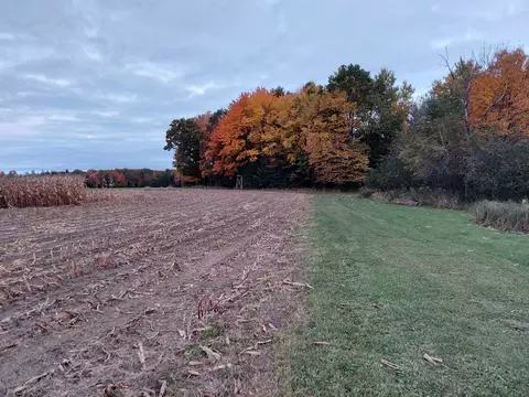 4265 Maple Rd, Rosholt, WI 54473