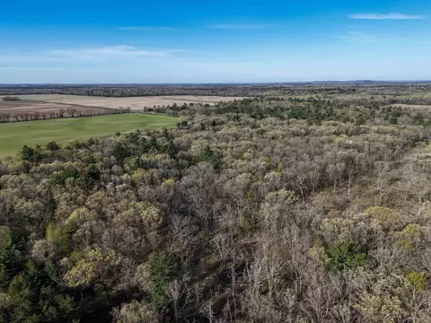 19 81 Acres 6th Ave, Grand Marsh, WI 53936