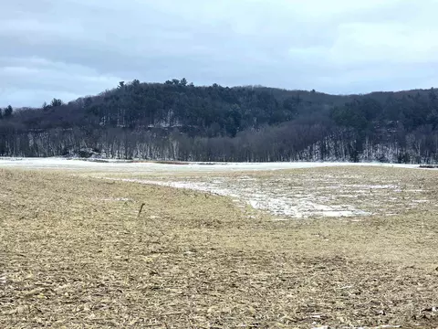 137 Acres Morrissey Rd, Mauston, WI 53948