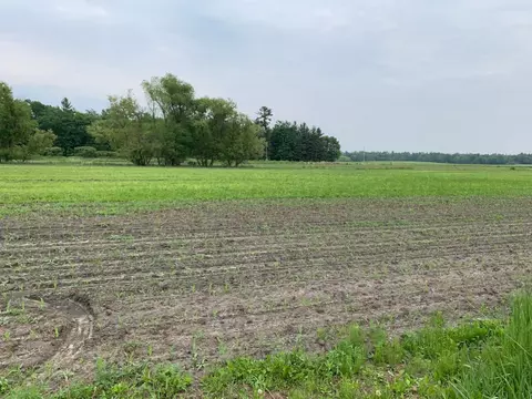 40 Acres 5th Ave, Camp Douglas, WI 54618