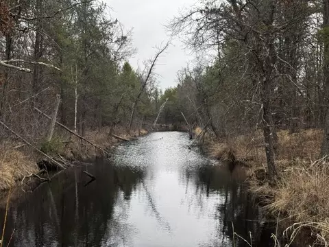 103 Ac 23rd St Acres, Necedah, WI 54646
