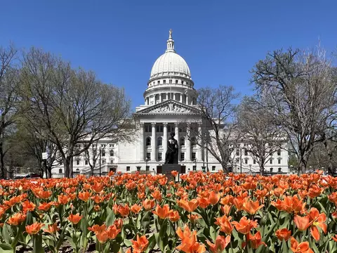 123 W Washington Ave #311, Madison, WI 53703